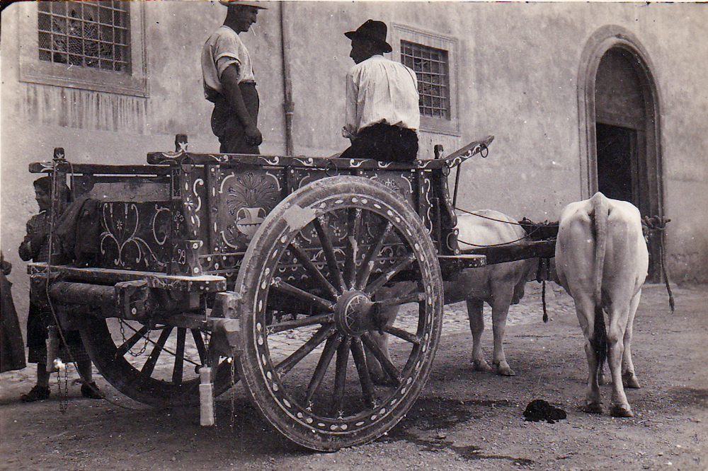Farm Cart in the City (1930)