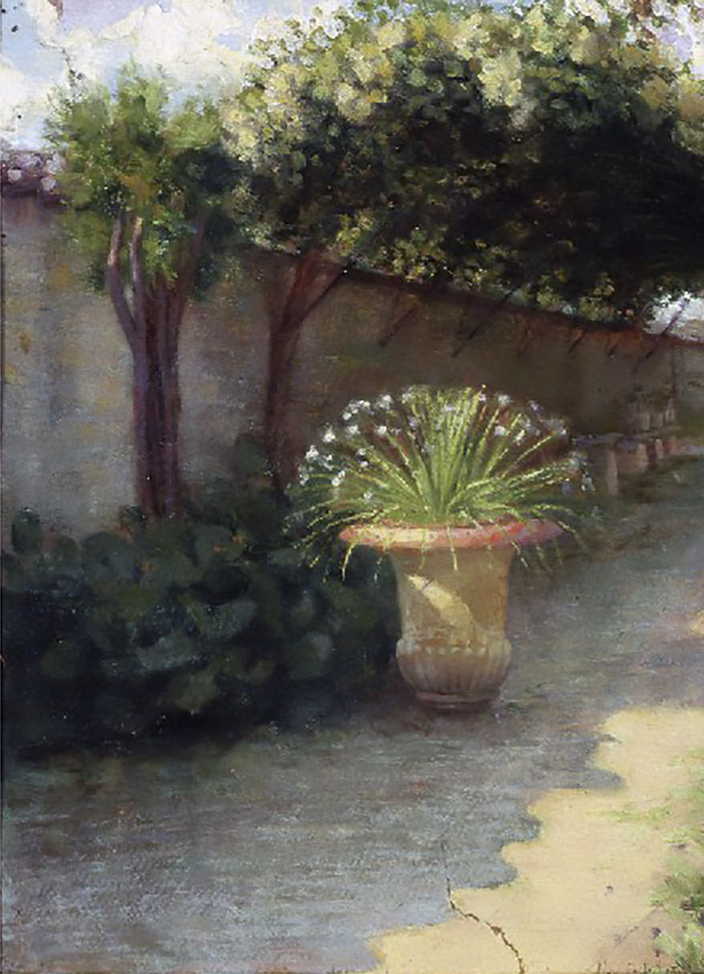 Potted Plant in Bloom in the Friars’ Garden (1914 - 1915, date uncertain) 