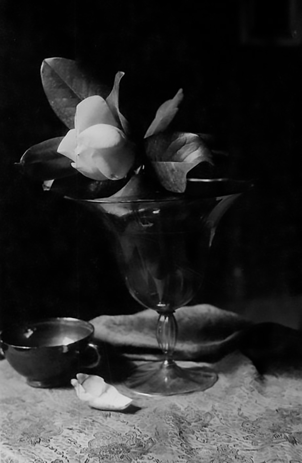 Magnolia in a Glass