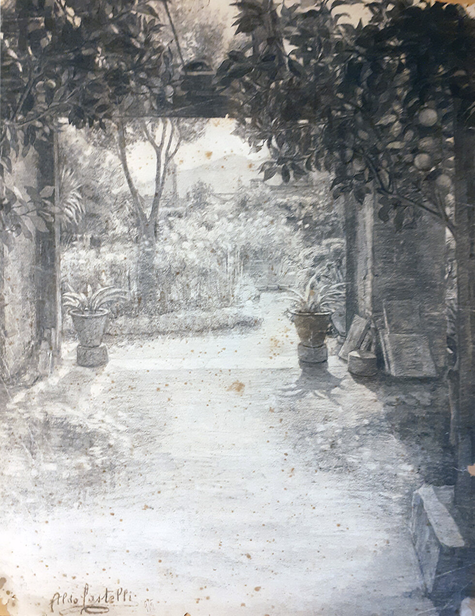 The Friars’s garden (pencil drawing, 1914)