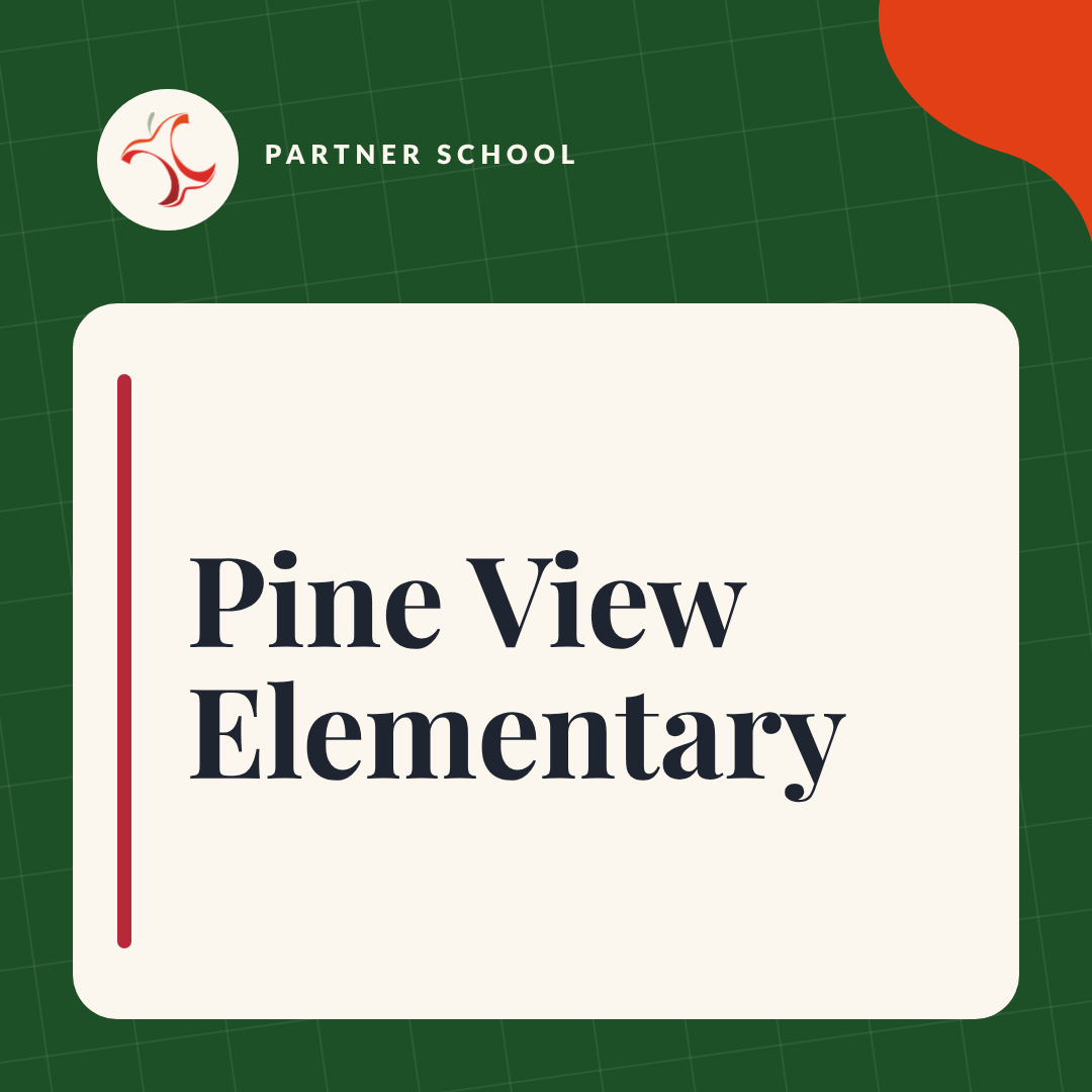 Pine_View_Elementary.png