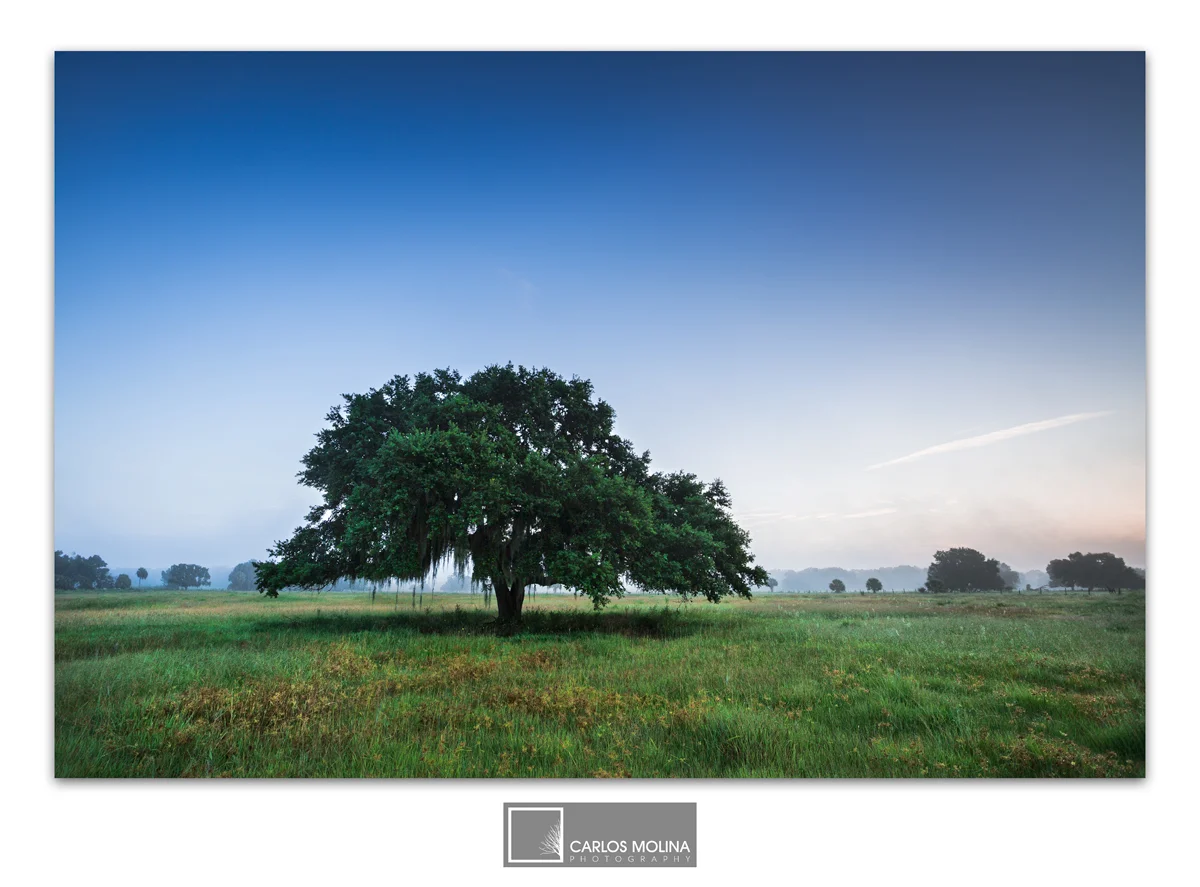 BEAUTIFUL FLORIDA'S INTERIOR
