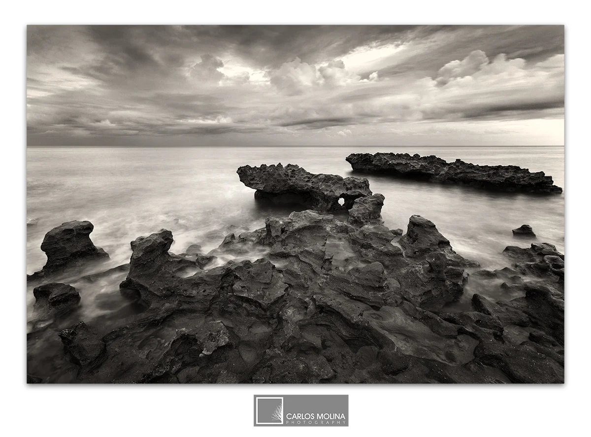 AND MORE FROM CORAL COVE...