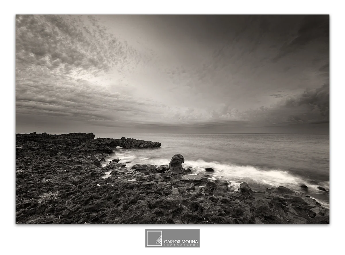 MORE FROM CORAL COVE