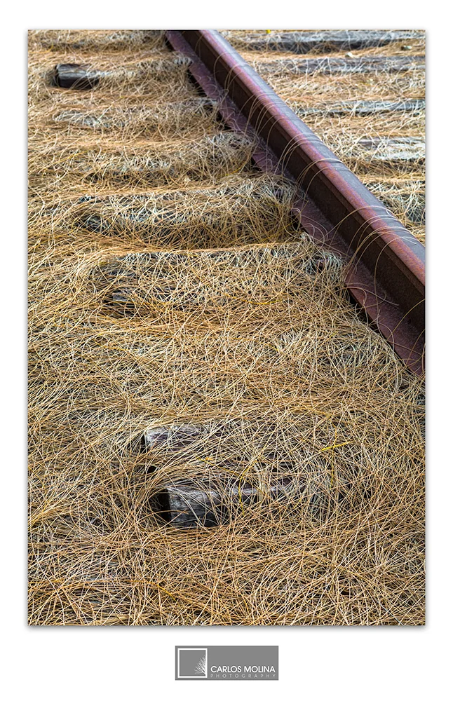 TAKEN OVER BY TIME...