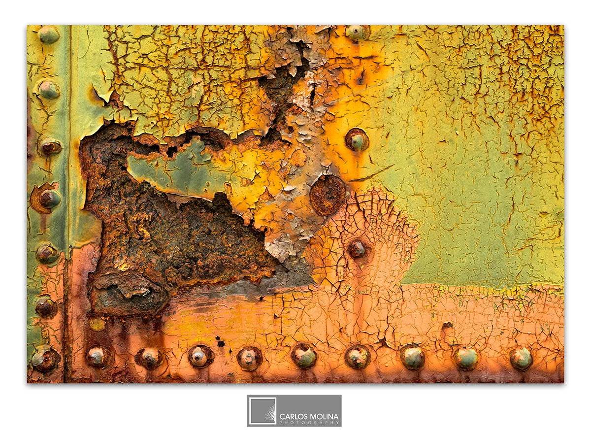 ABSTRACTS FROM THE MUSEUM