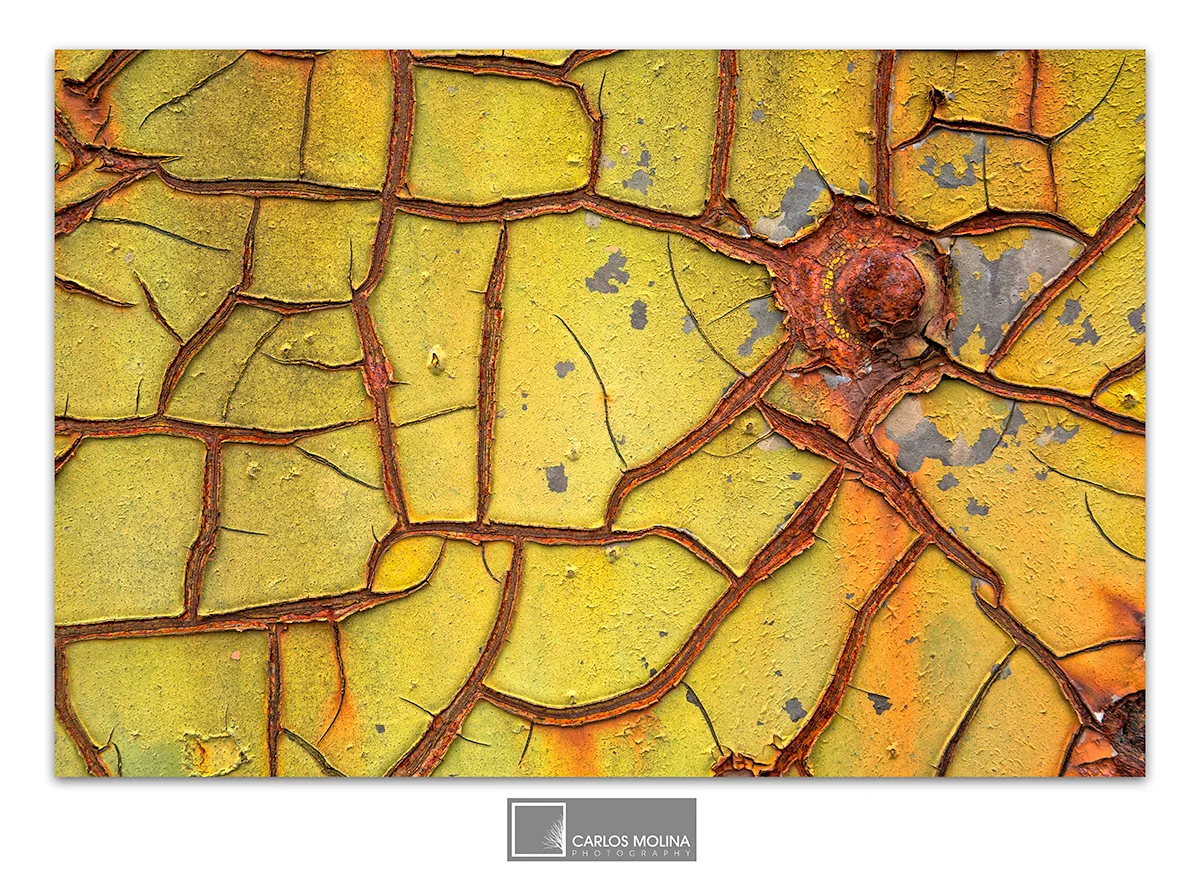 AND SOME MORE ABSTRACTS...