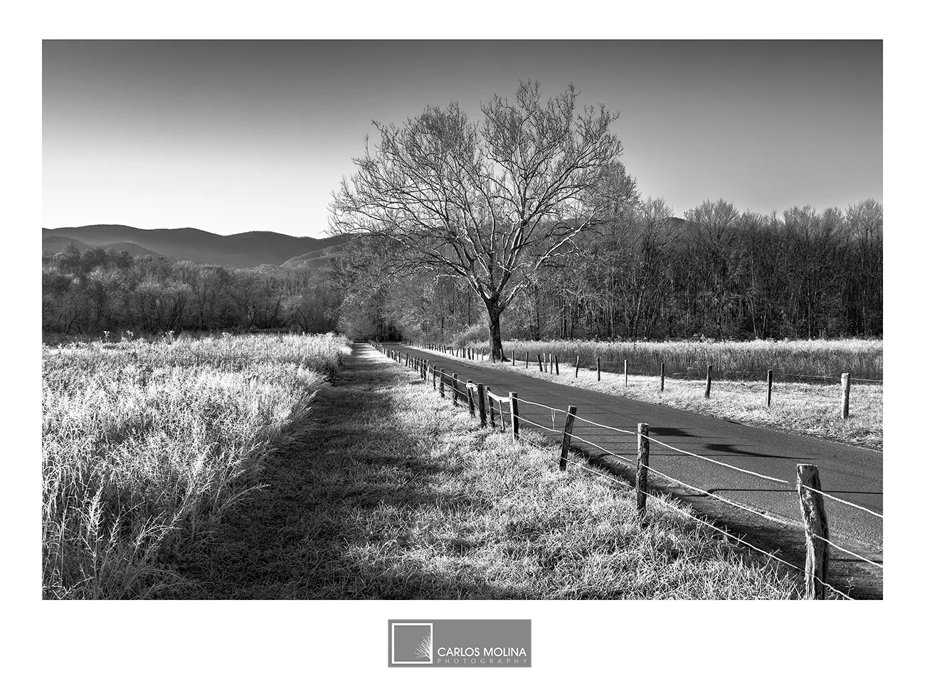 CADES COVE
