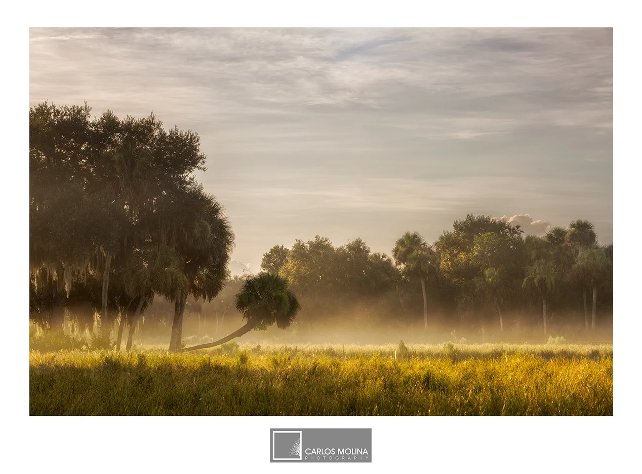 FLORIDA'S BEAUTIFUL INTERIOR