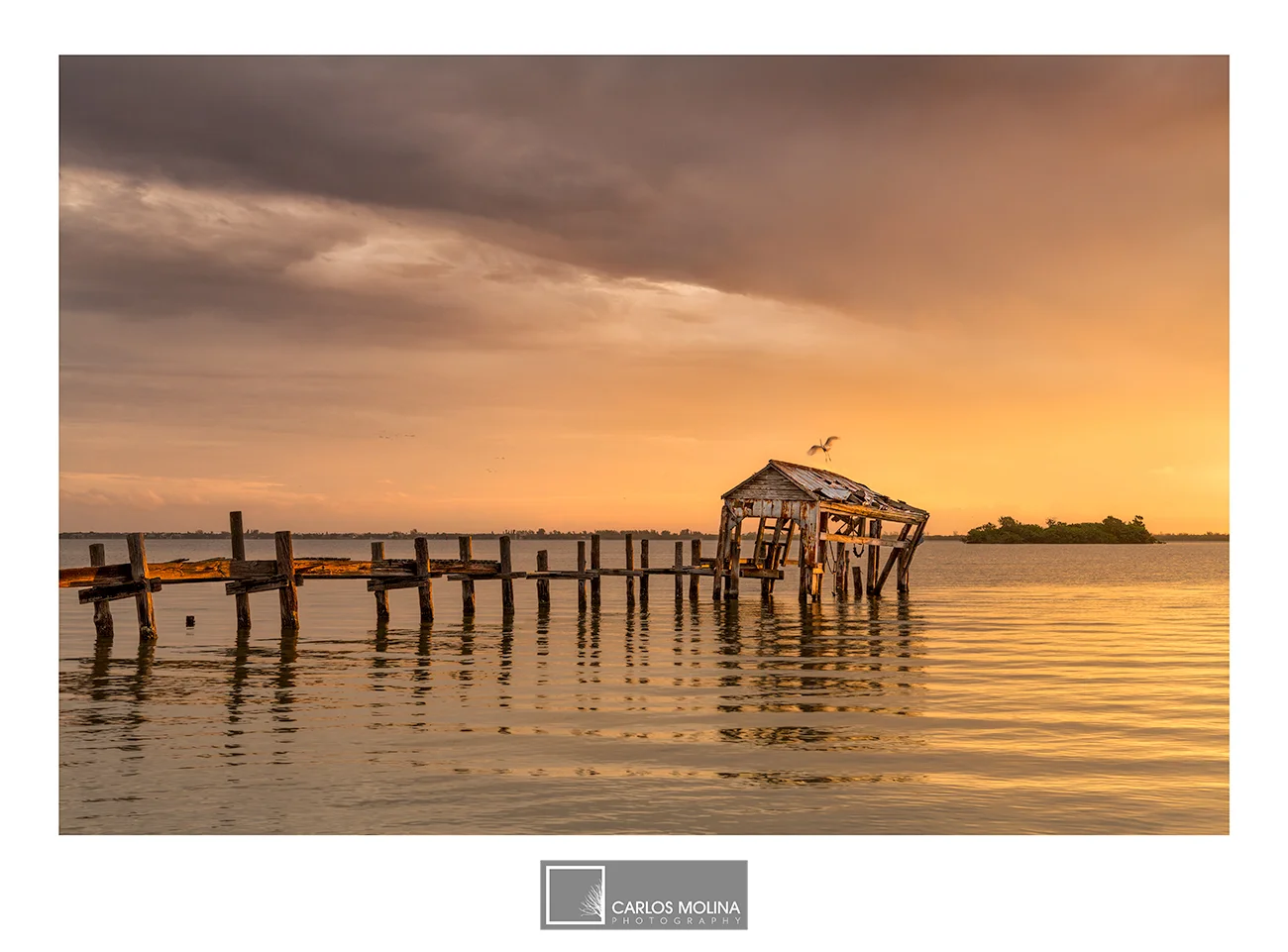 AND ONE MORE FROM SEBASTIAN...