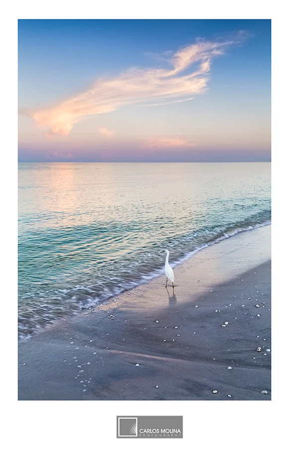 THE NAPLES COLLECTION - A MINIMALIST & HIGH KEY EXPRESSION