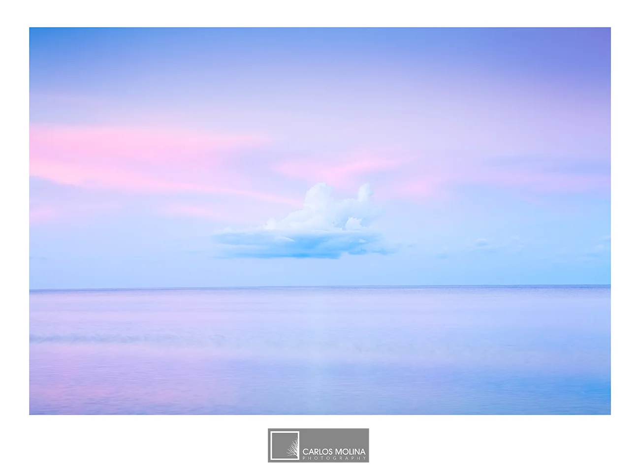 THE NAPLES COLLECTION