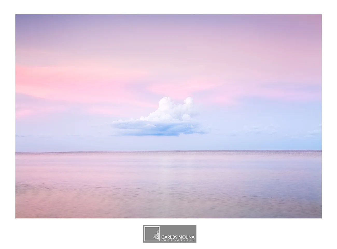 THE NAPLES COLLECTION