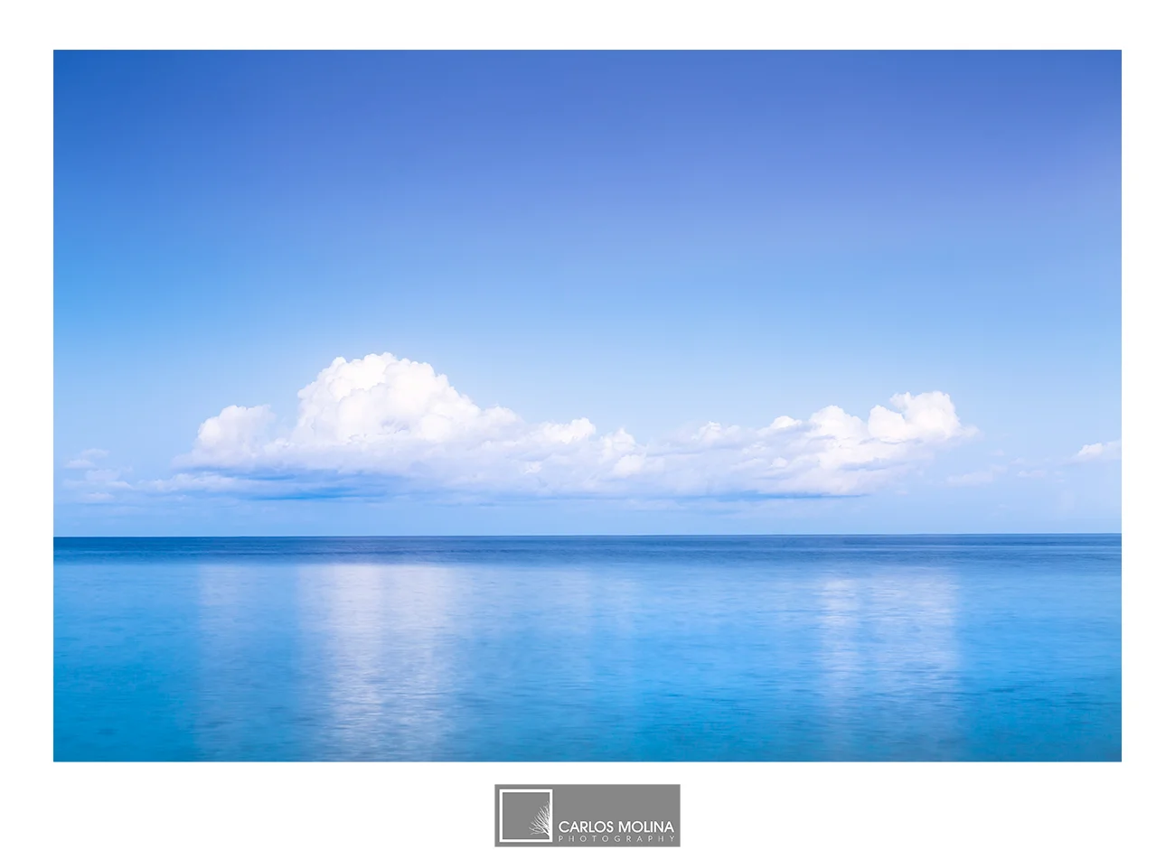 THE NAPLES COLLECTION