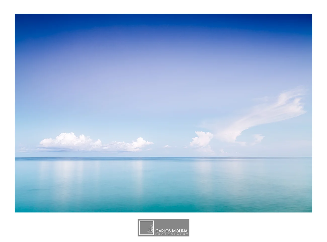 THE NAPLES COLLECTION