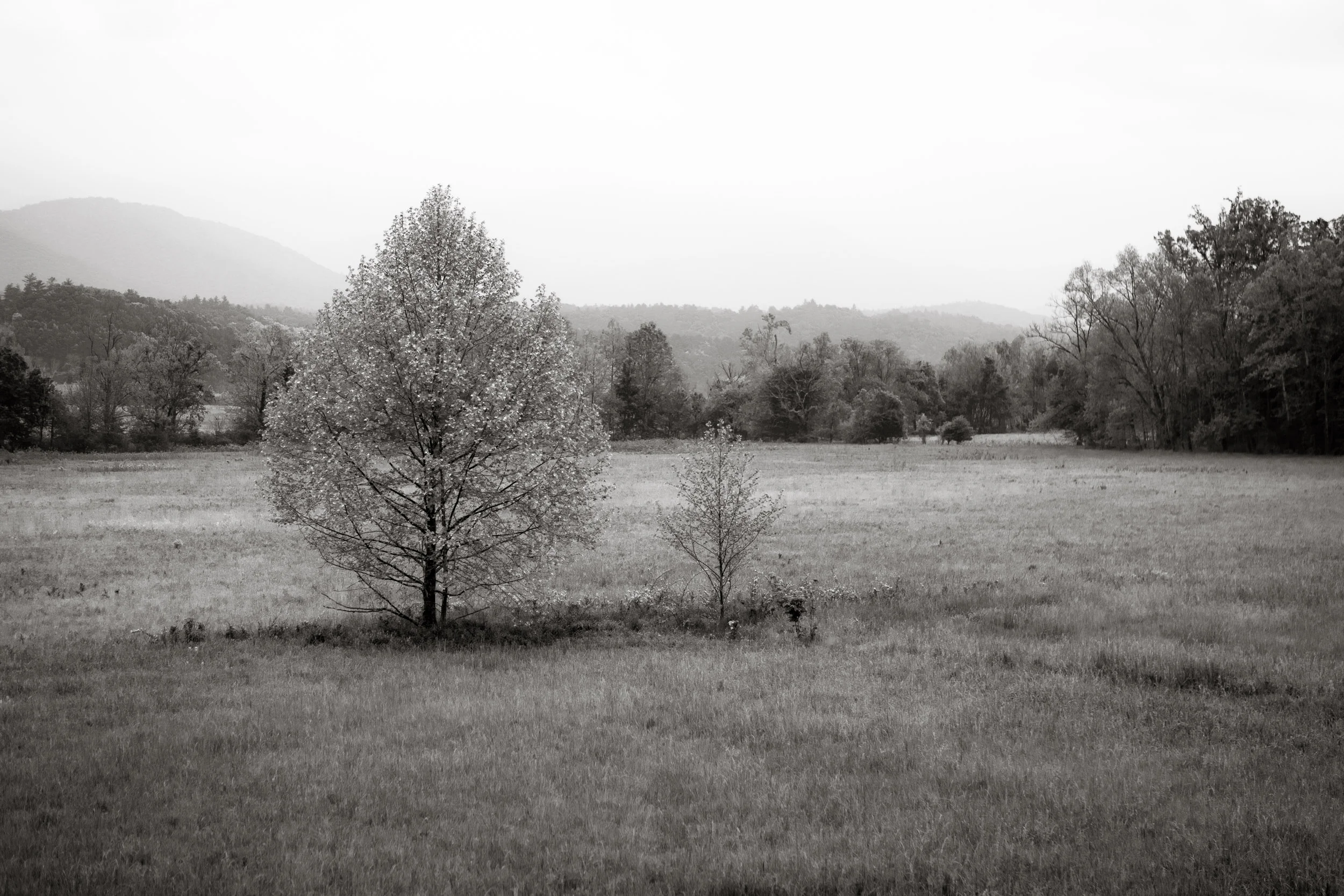 Smoky Mountains