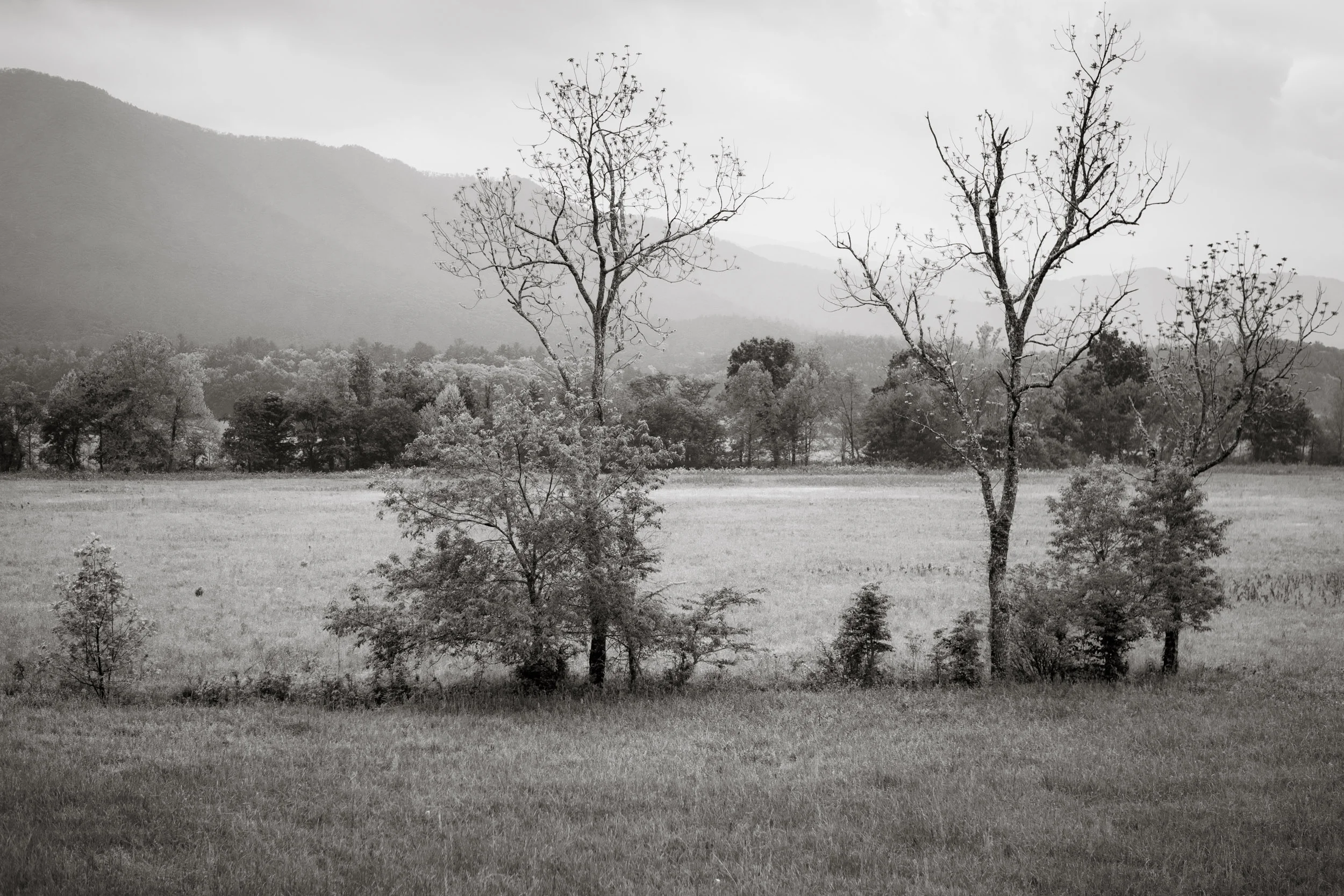 Smoky Mountains