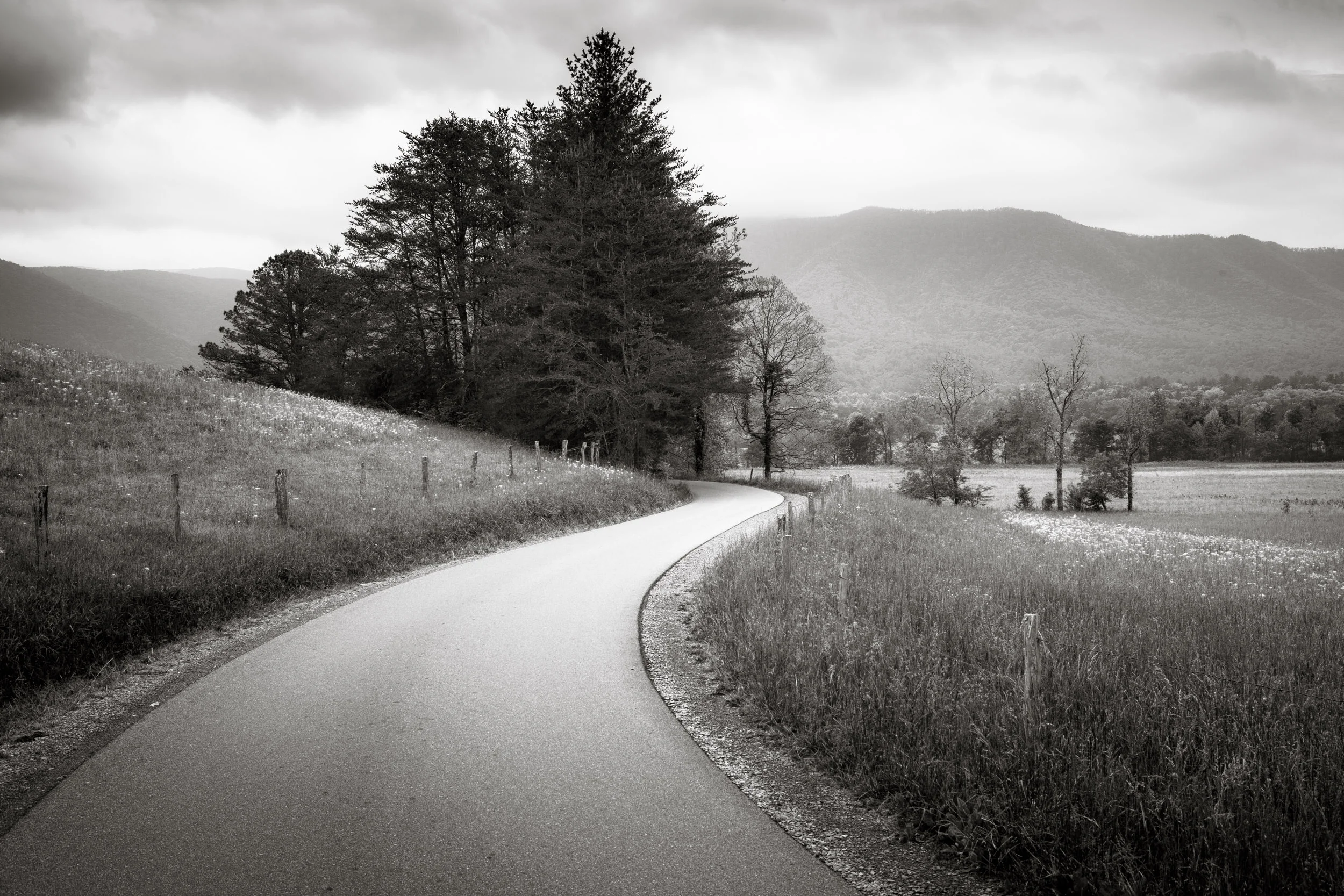 Smoky Mountains