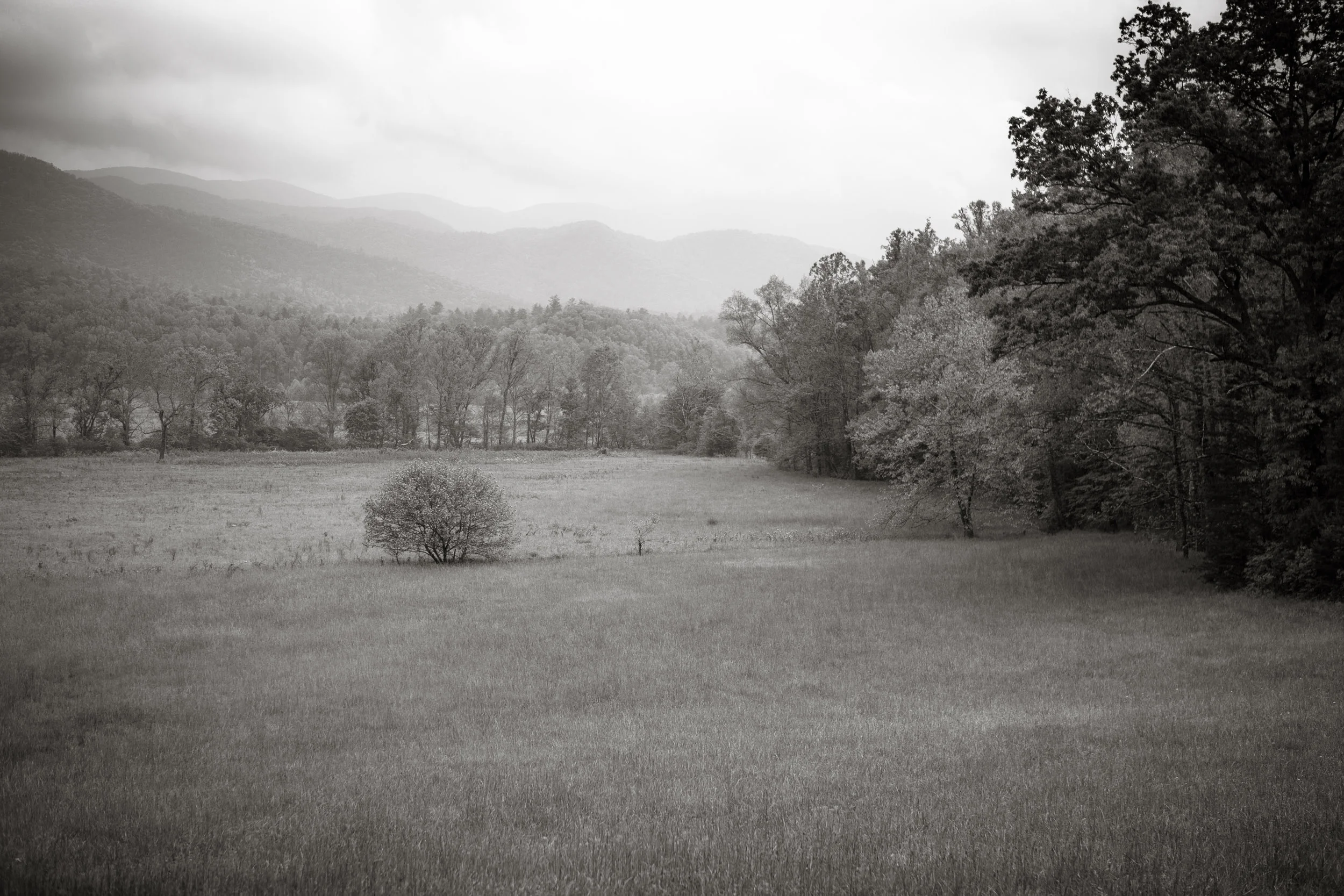 Smoky Mountains