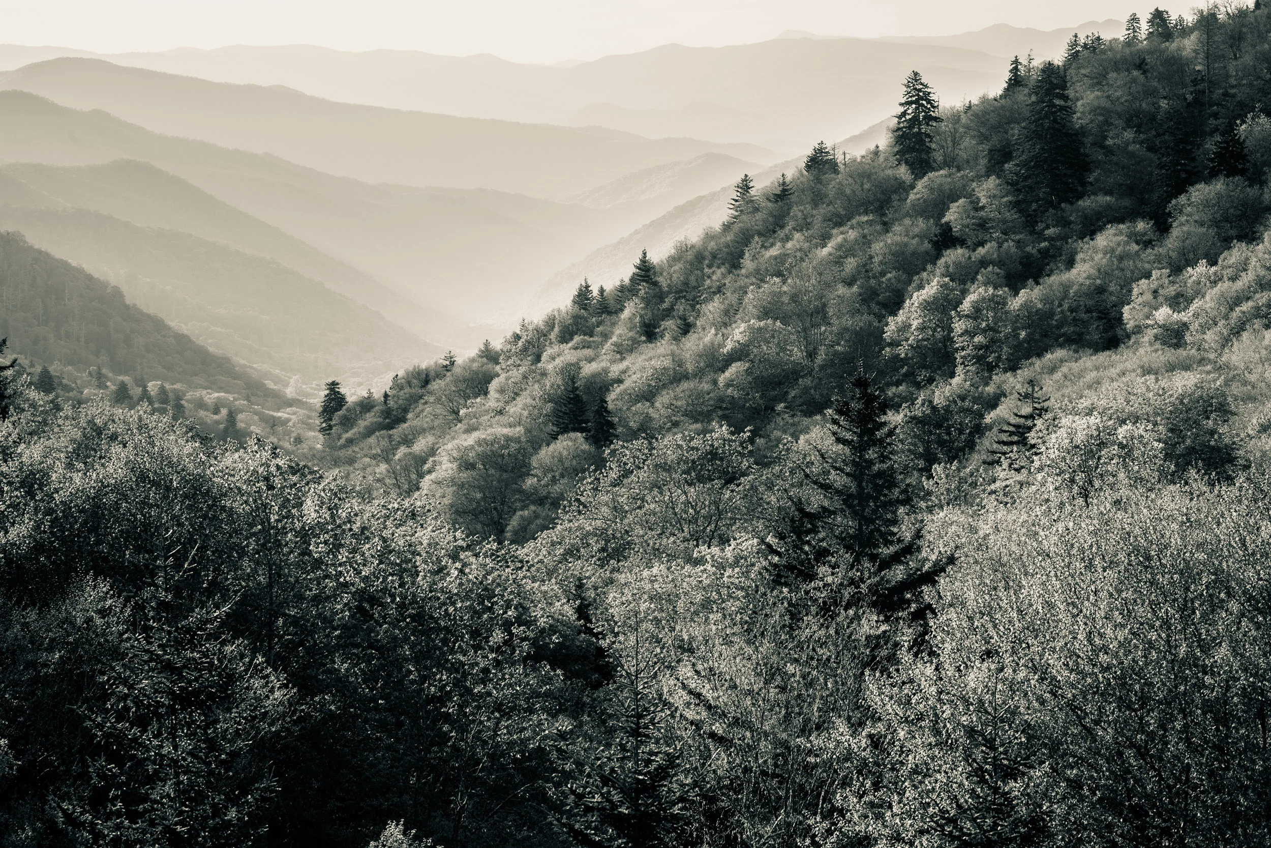 Smoky Mountains