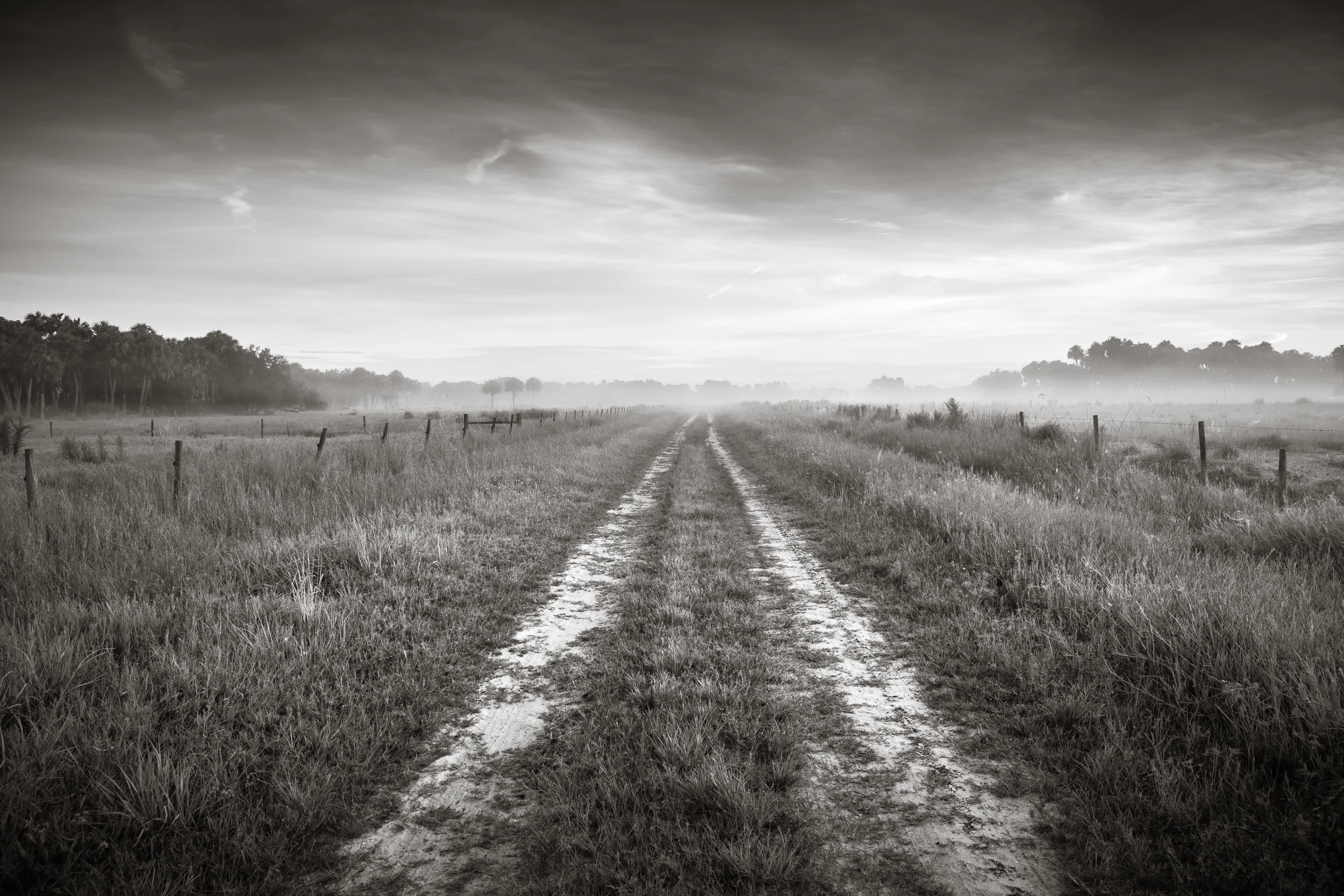 Adams Ranch, Florida