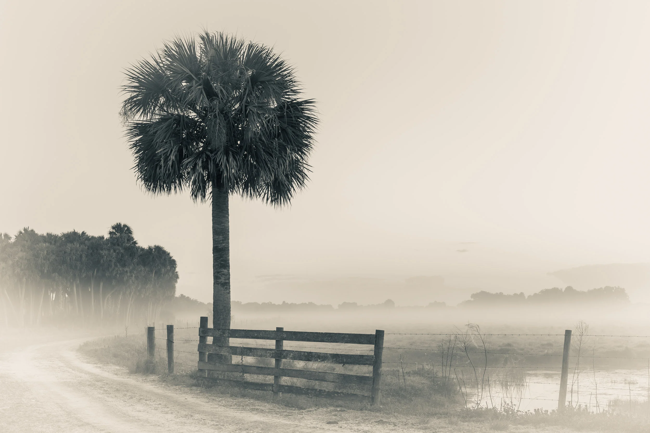 Adams Ranch, Florida