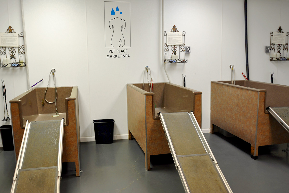 DSC_0008-(2)_DOGWASH.jpg