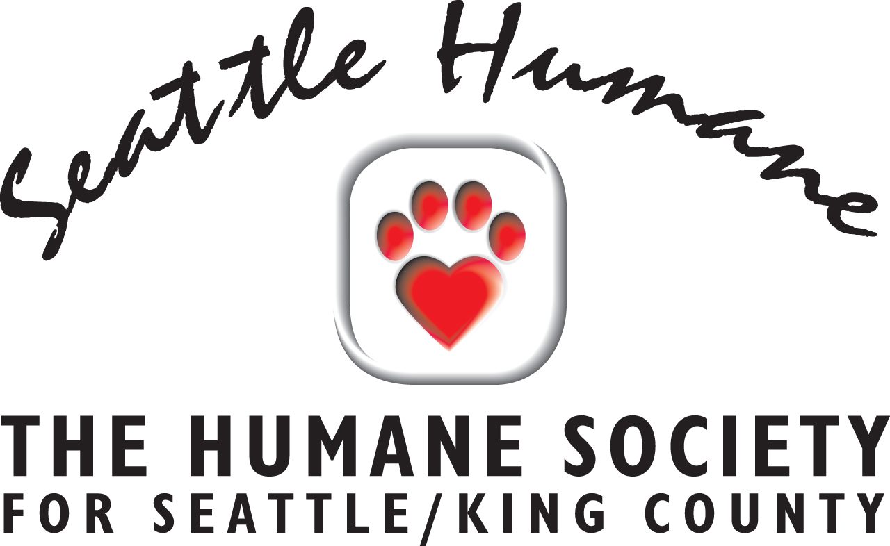 seattle humane society dogs for adoption