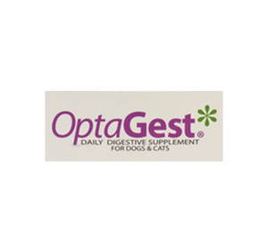 image-asset (18).webp