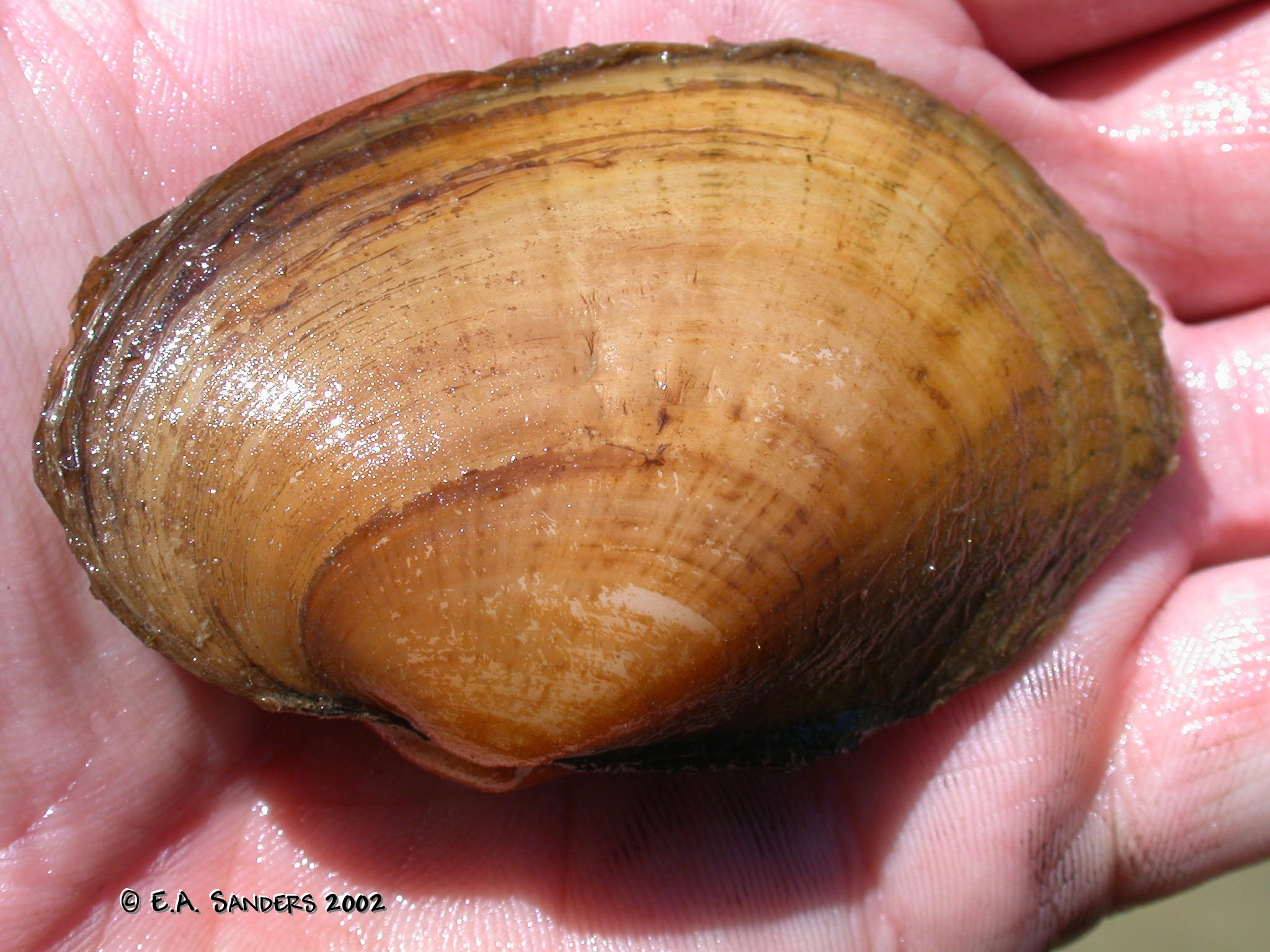DSCN9547.JPG
