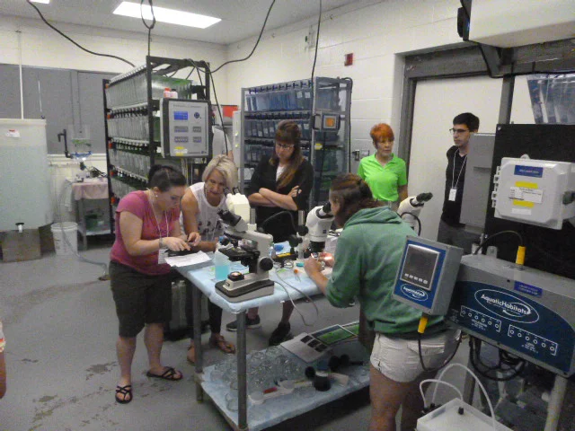 P1000141.JPG