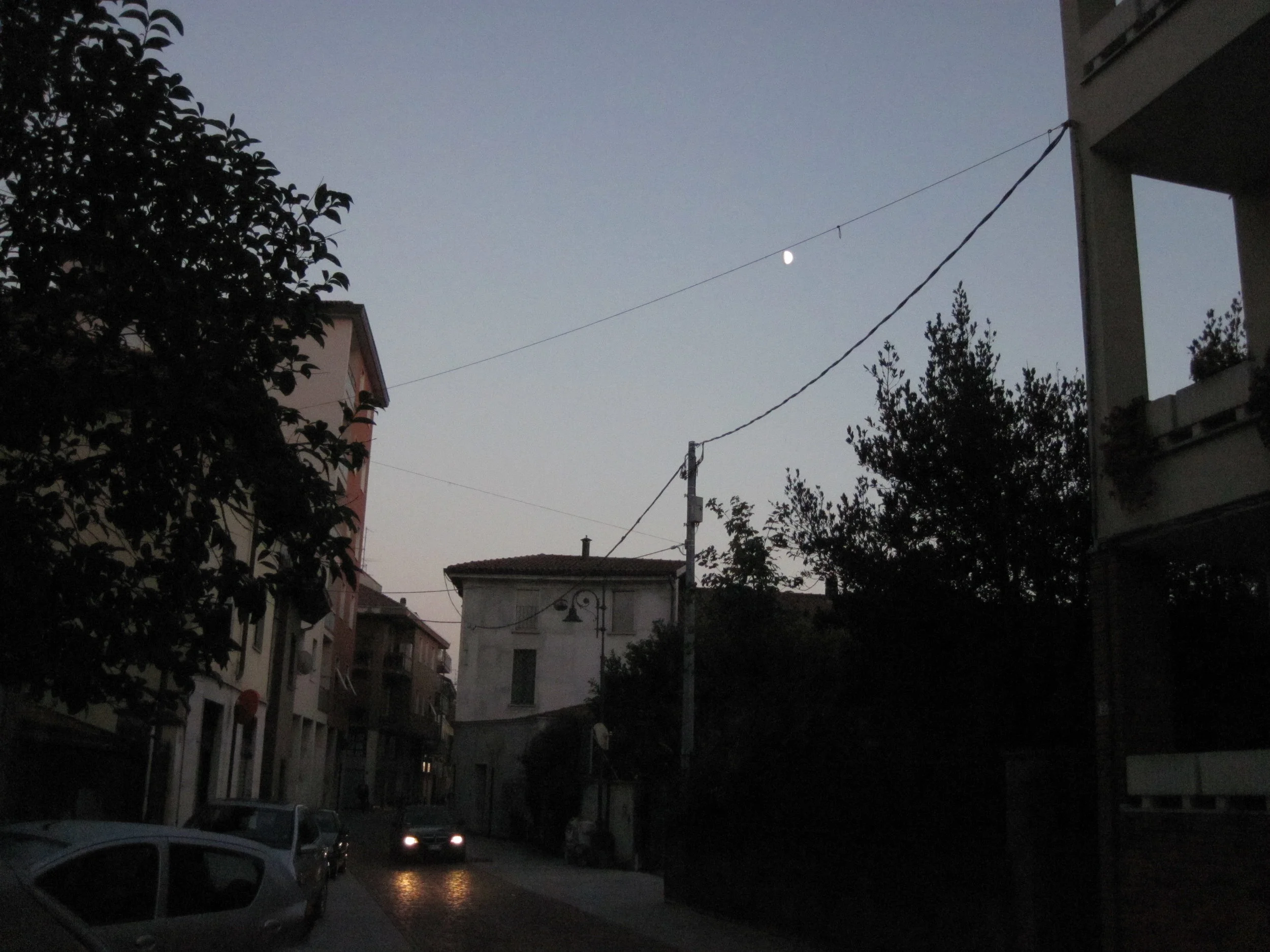 IMG_0775.JPG