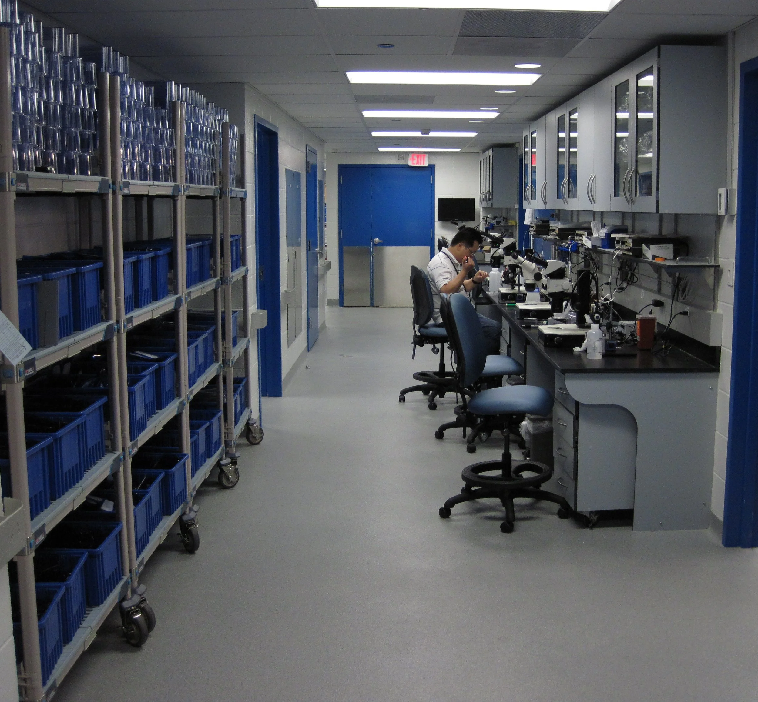 example common area for microinjection and scope work