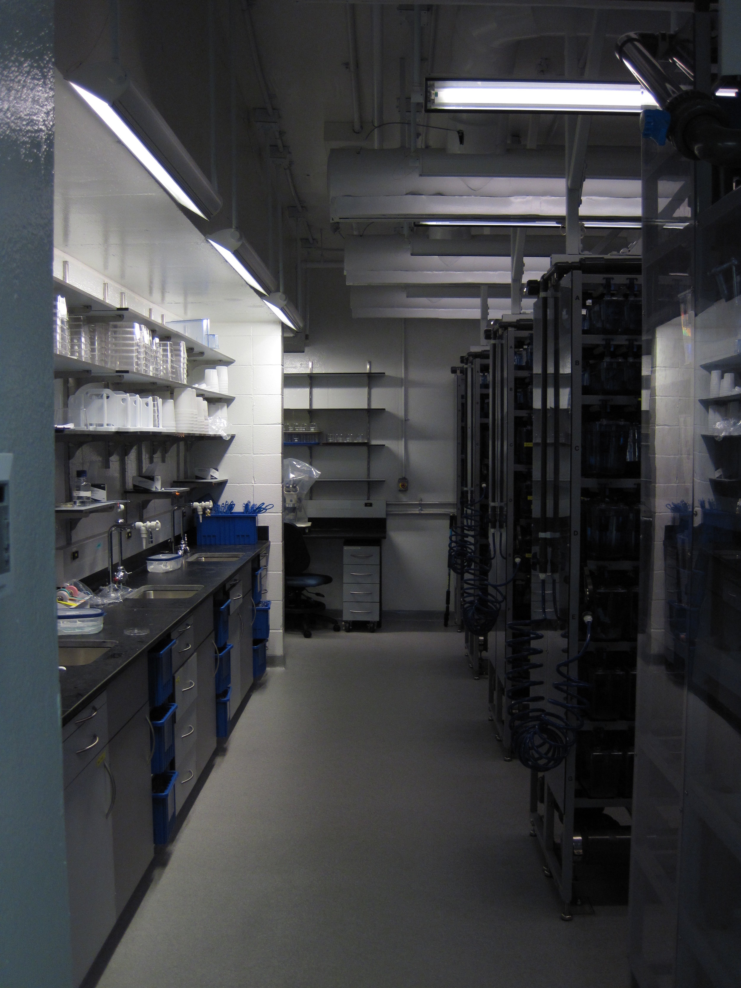 example of extensive countertop and sink space