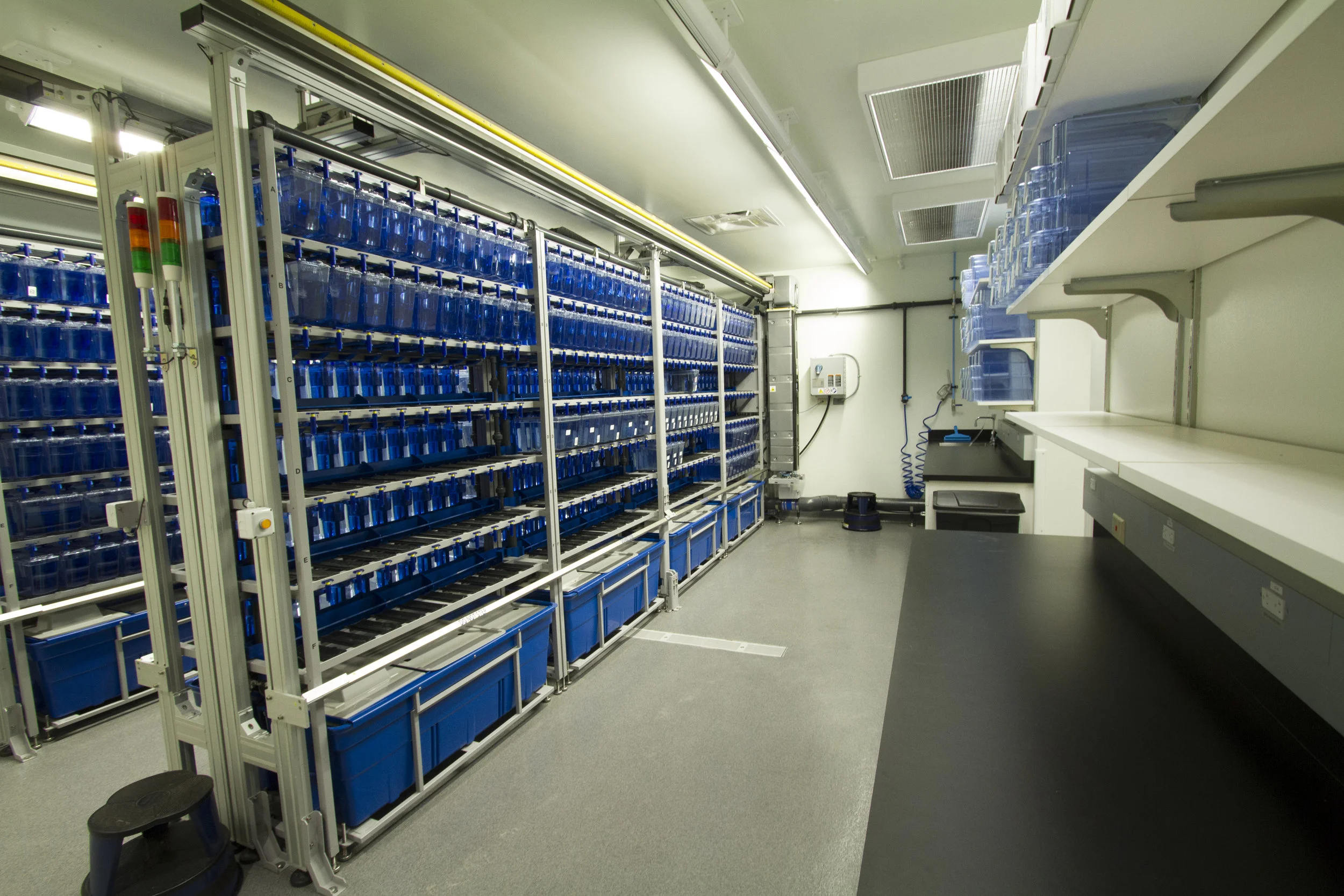 example food prep and culture room