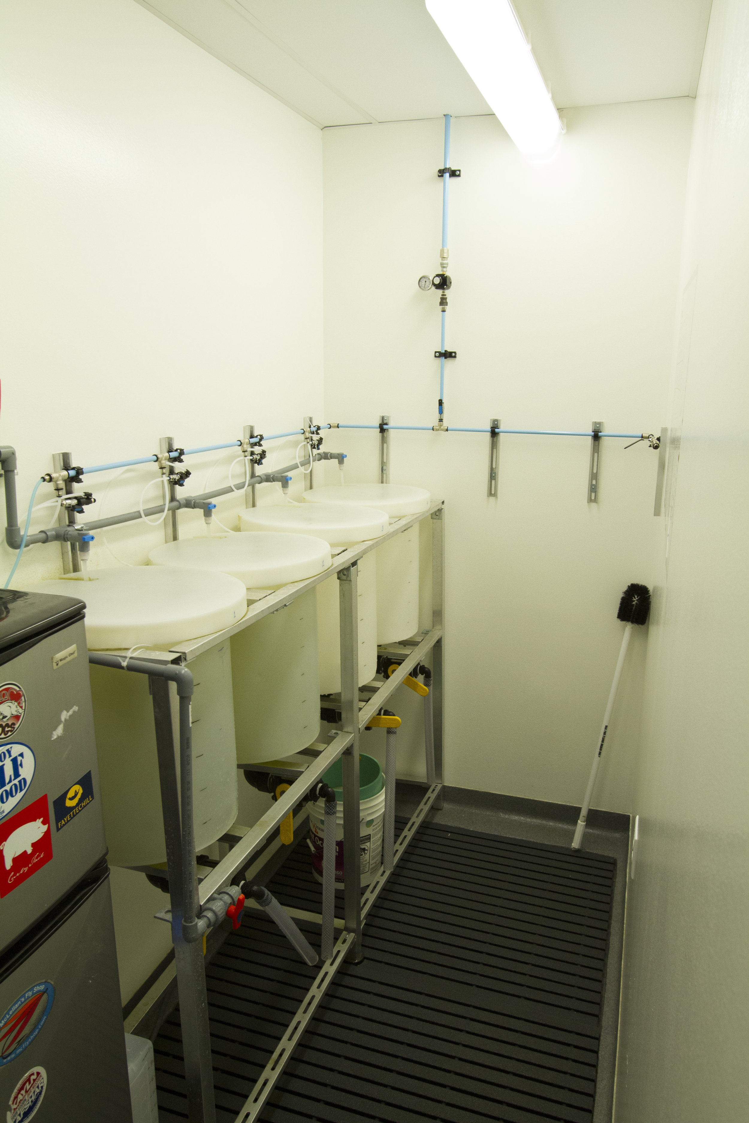 live foods culture room 2