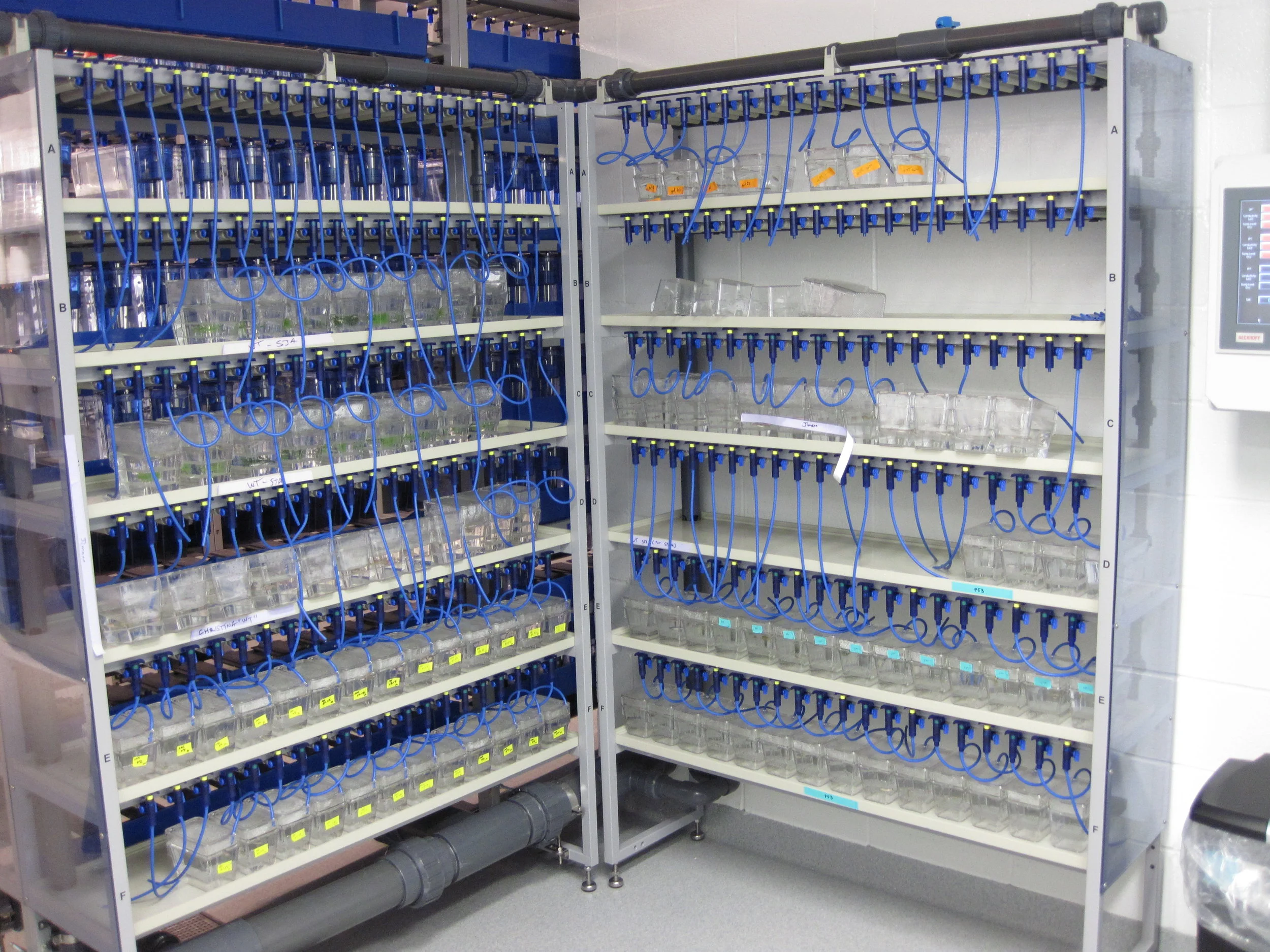 wet breeder racks.JPG