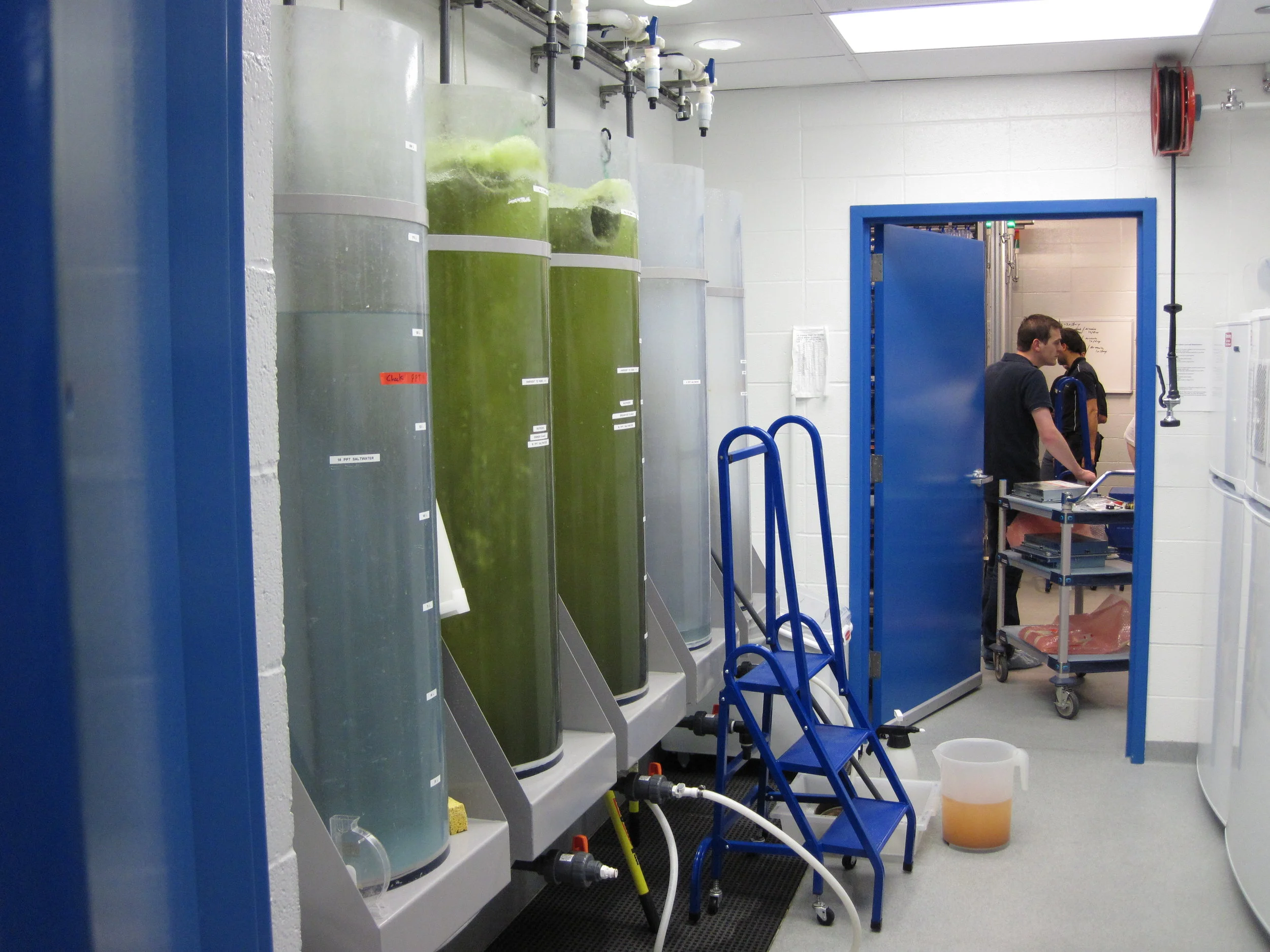 example food prep and culture room.JPG