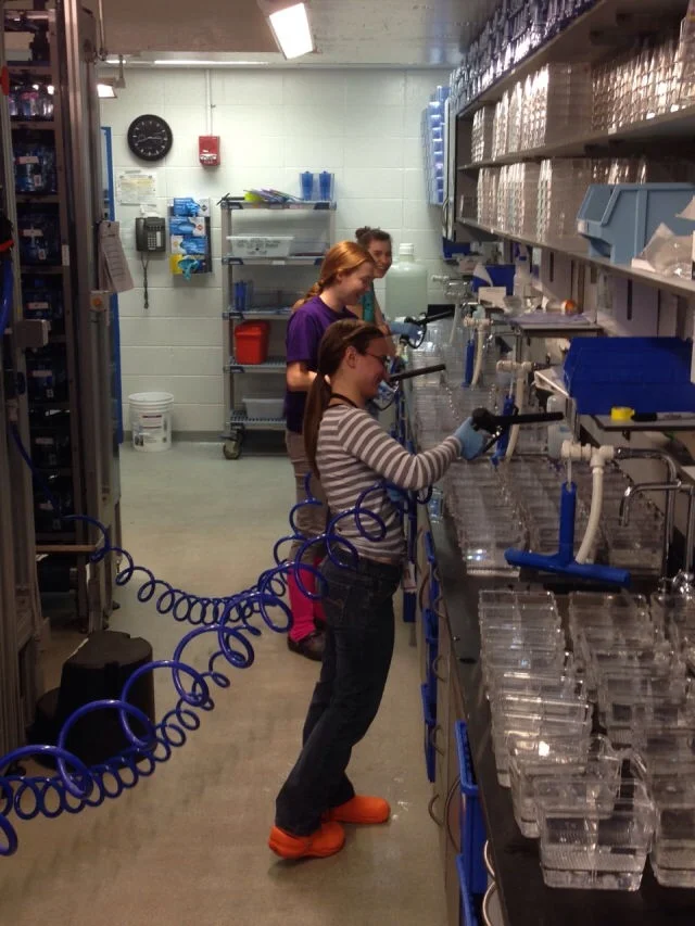 example of how countertop spaceand sinks are used.JPG