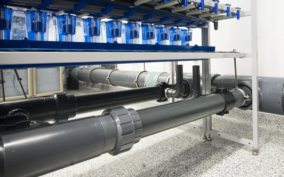 Tecniplast install2.jpg