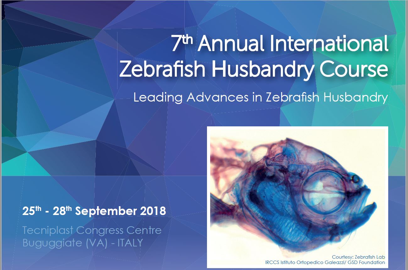 program screencap.JPG