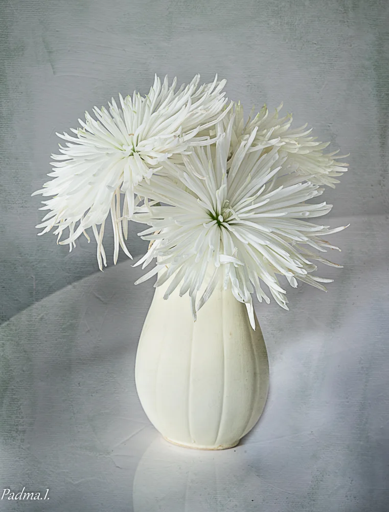 15-05-28-Flowers-016-Edit-Web.jpg