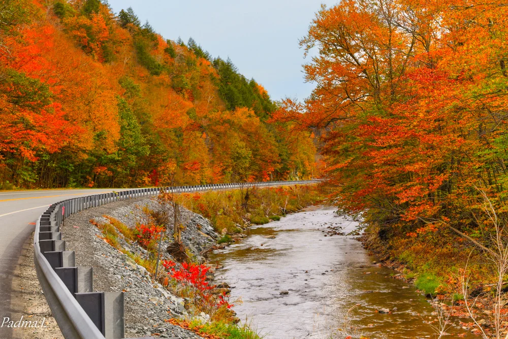 13-10-10-Falls-1250-Edit-Web.jpg