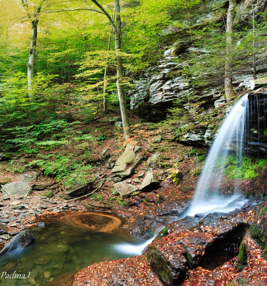Ricketts_Panorama2-Web.jpg