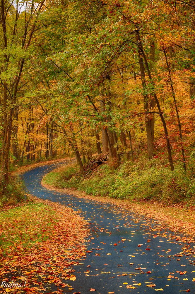 13-10-31-Fall-022-Edit-Web.jpg