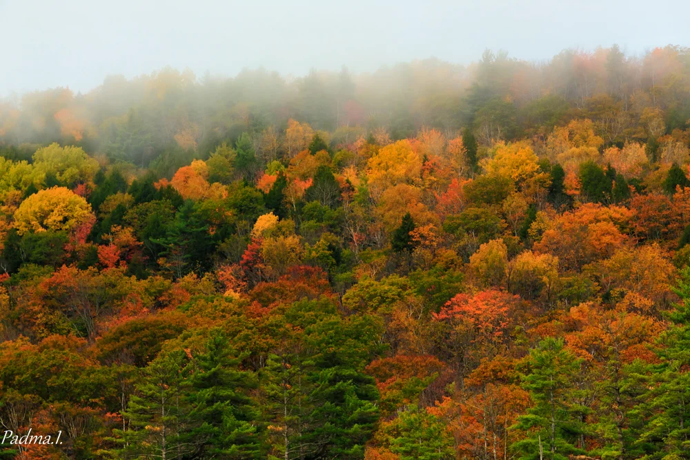 13-10-10-Falls-1143-Edit-Web.jpg