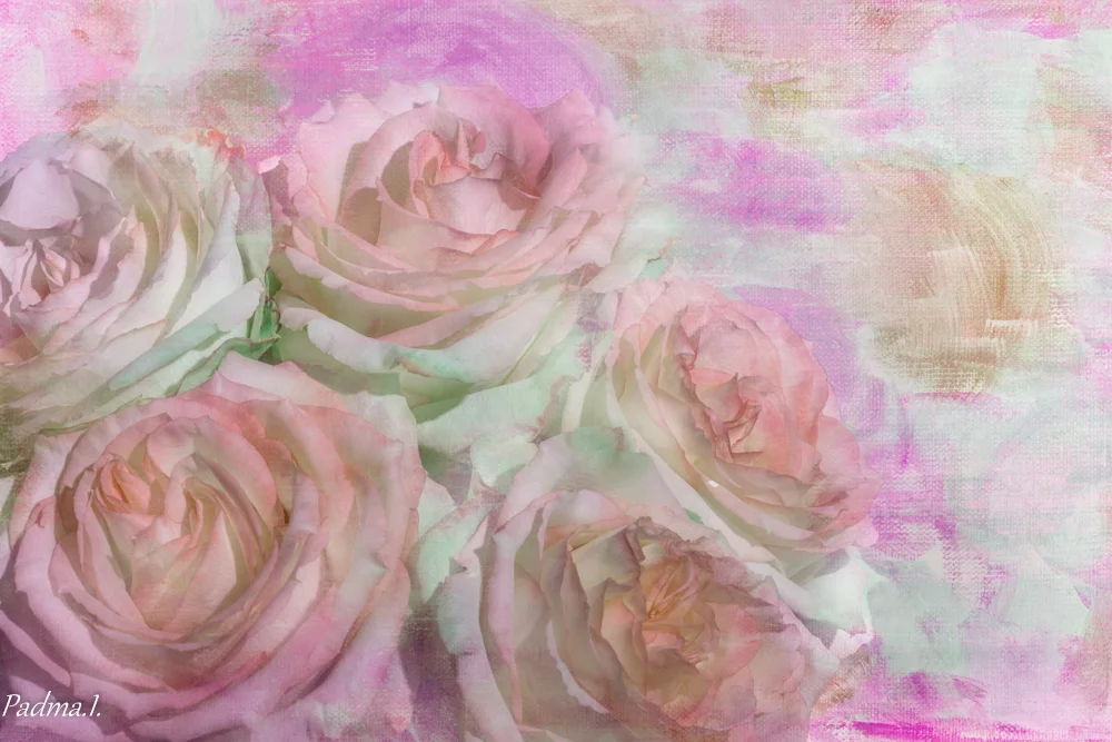 13-10-16-Flowers-005-Edit-Web.jpg