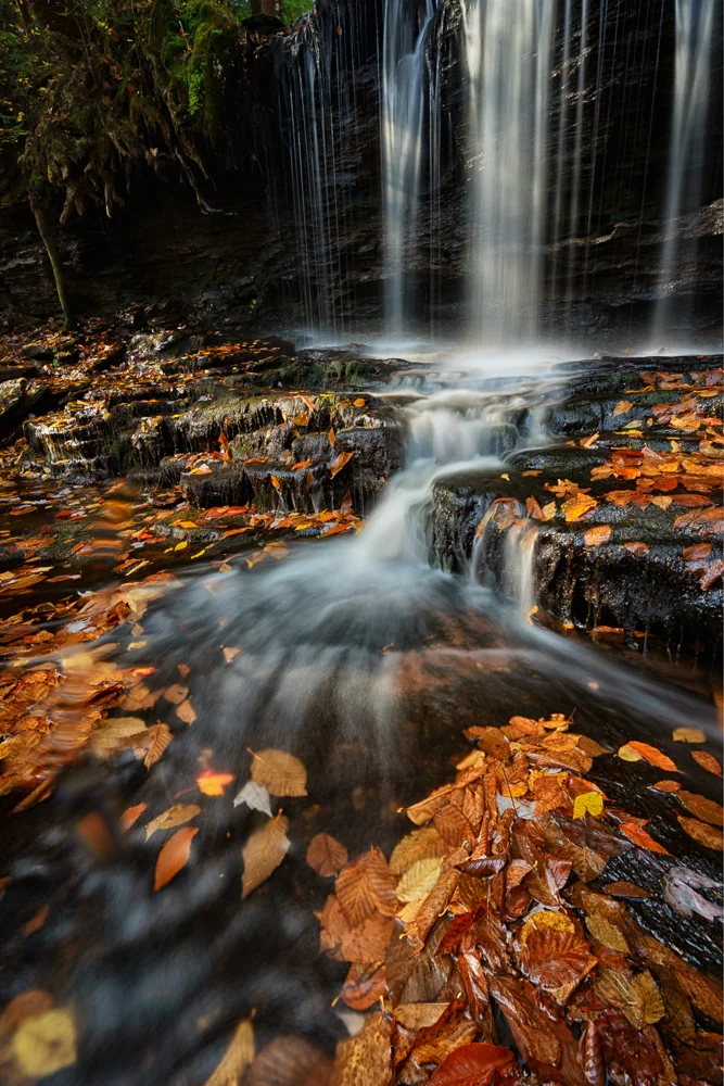 16-10-19-RickettsGlen-151-Edit-Web.jpg