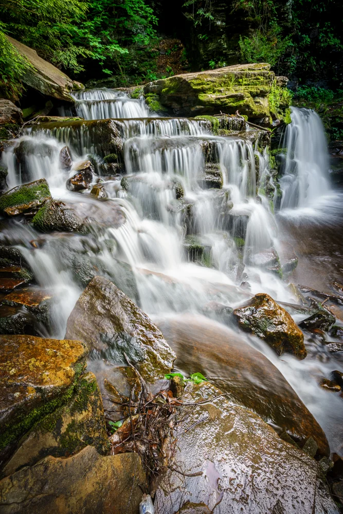 16-05-30-Ricketts-452-HDR-Web.jpg
