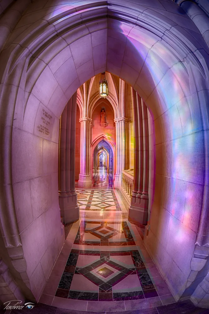 16-02-06-NatCathedral-110-HDR-Edit-Web.jpg